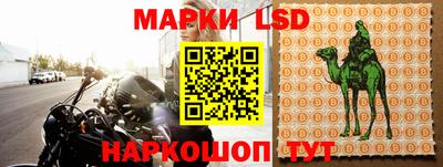 стаф Кимры