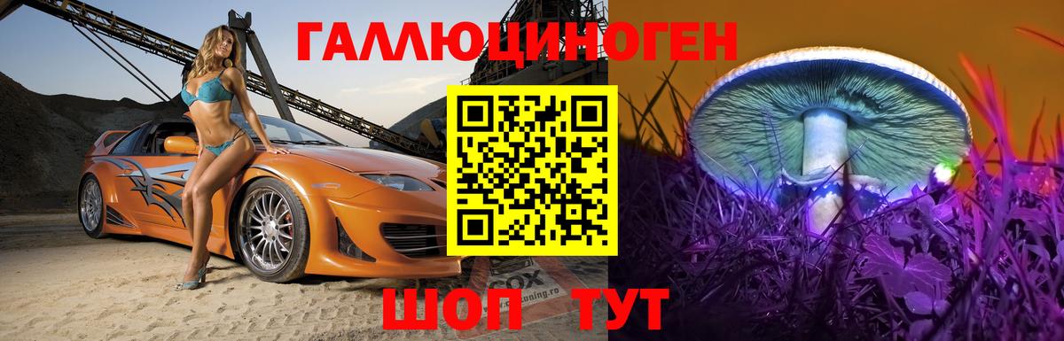 даркнет сайт  Вход с VPN  Крымск  Галлюциногенные грибы Psilocybe 